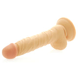 8" Realistic Dildo with Balls