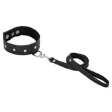 Studded leather collar & leash